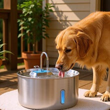 PKP WF 09 — Stainless Steel Pet Water Fountain with 180° Adjustable Faucet Spout &amp; LED Indicator