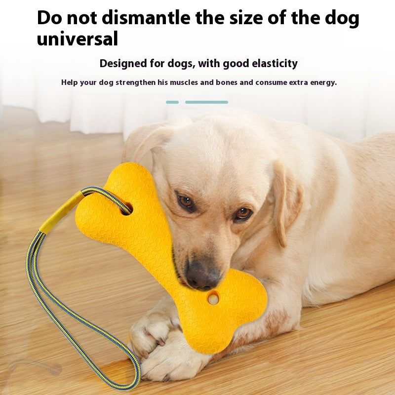 Play & Enrichment Pack