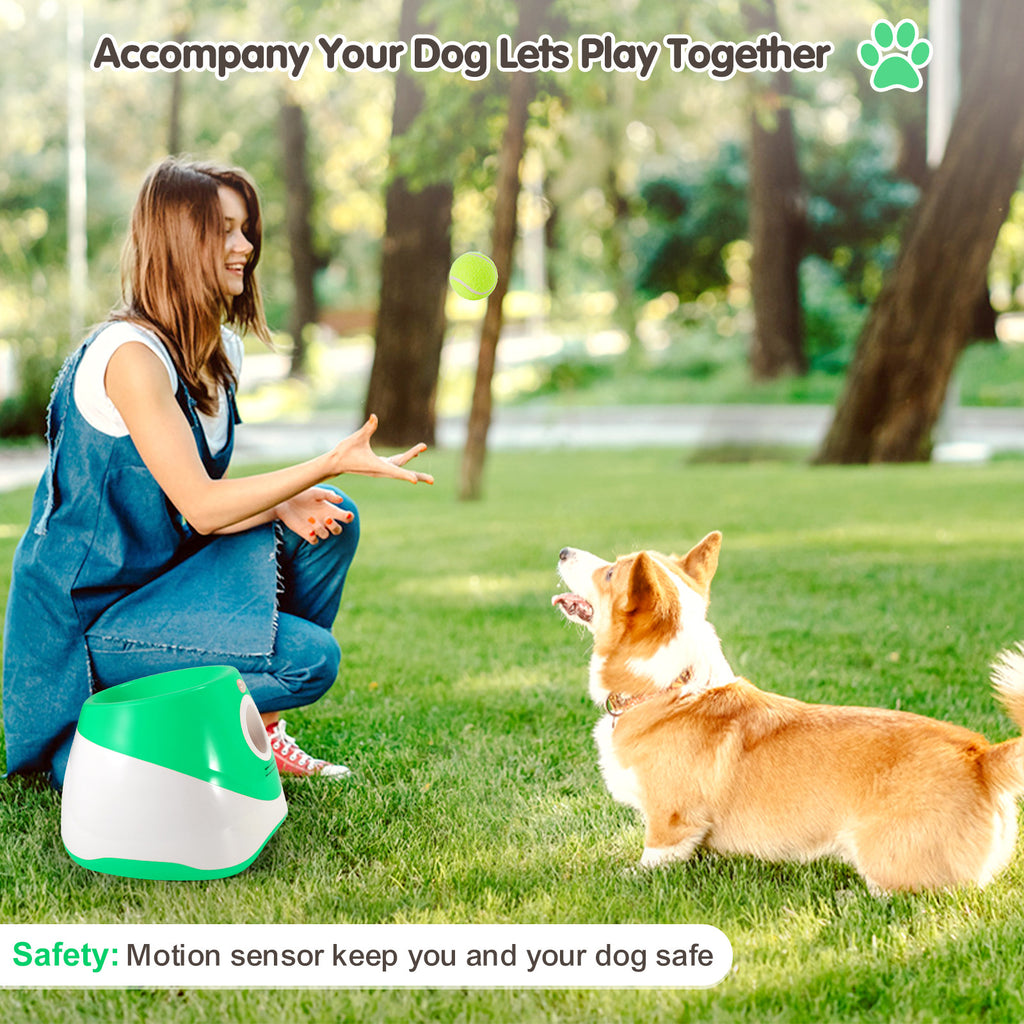 Automatic Dog Ball Launcher — Hands-Free Fetch Machine for Indoor & Outdoor Play DT-002