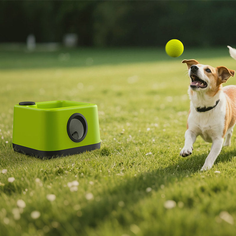 Automatic Dog Ball Launcher — Hands-Free Fetch Machine for Indoor & Outdoor Play DT-002