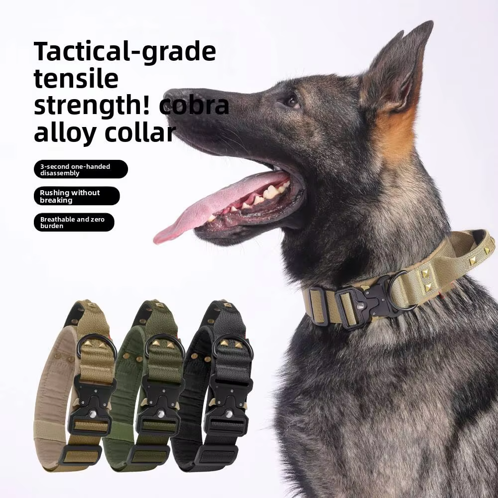 New Dog Starter Kit